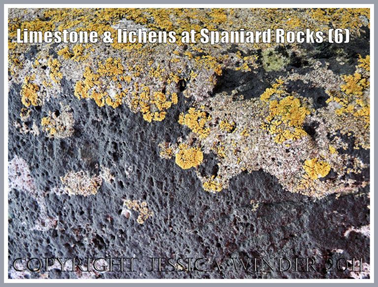 Black lichen on the vertical and yellow lichen on the horizontal surface of a limestone block at Spaniard Rocks, Gower, South Wales, UK (6)