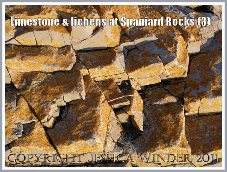 Low sunlight and shadows creating a graphic pattern on limestone strata encrusted with yellow lichen at Spaniard Rocks, Rhossili, Gower, South Wales, UK (3)