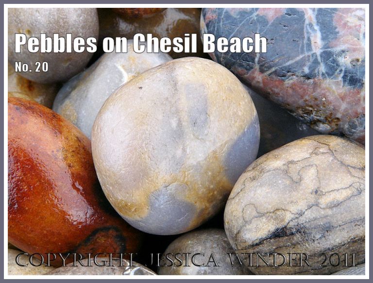 Pebble with translucent grey and cream pattern on Chesil Beach at Chesil Cove, Isle of Portland, Dorset, UK, on the Jurassic Coast (6)