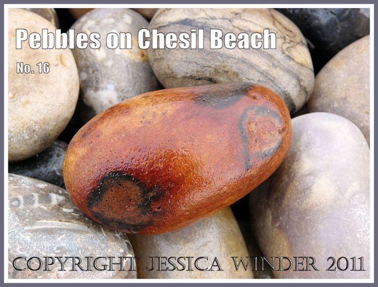 Pebble with rusty orange colouration on Chesil Beach at Chesil Cove, Isle of Portland, Dorset, UK, on the Jurassic Coast (2)