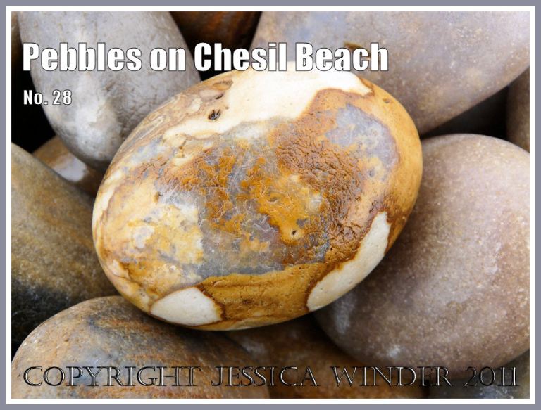 Patterned pebbles on Chesil Beach, Dorset, UK on the Jurassic Coast World Heritage Site (3)