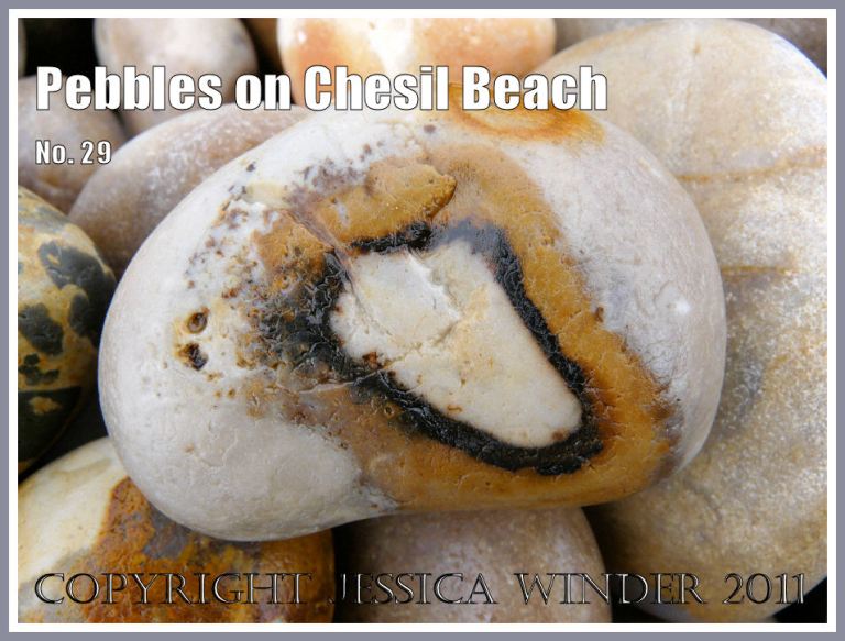 Patterned pebbles on Chesil Beach, Dorset, UK on the Jurassic Coast World Heritage Site (4)