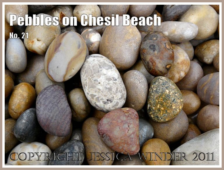 Pebbles on the beach at Chesil Cove, Isle of Portland, Dorset, UK, on the Jurassic Coast World Heritage Site (1)