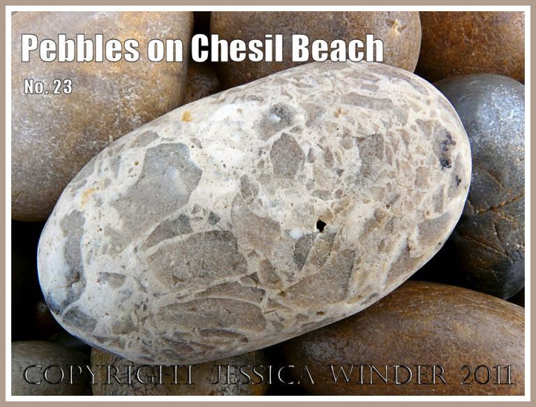 Dorset patterned pebbles: Pebbles on the beach at Chesil Cove, Isle of Portland, Dorset, UK, on the Jurassic Coast World Heritage Site (3)
