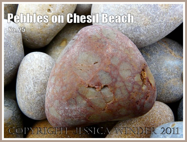 Patterned beach pebbles: Pebbles on the beach at Chesil Cove, Isle of Portland, Dorset, UK, on the Jurassic Coast World Heritage Site (5)