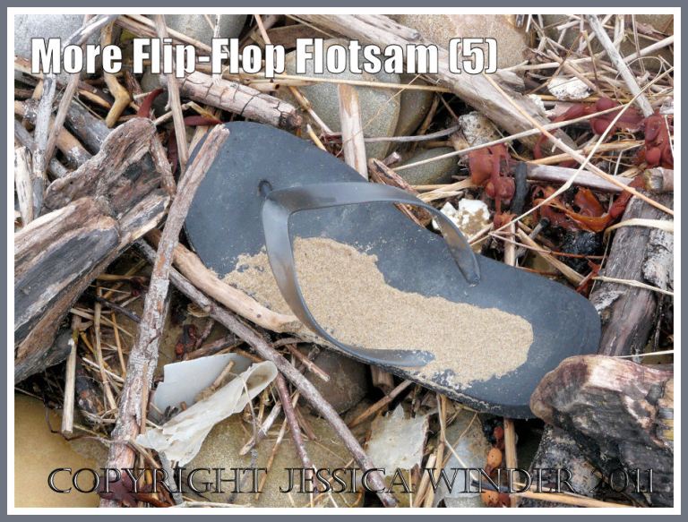 Flip flop amongst strandline debris: Flotsam flip flop sandal washed ashore onto a natural debris strewn strandline at Rhossili Bay, Gower, South Wales, U.K. (5)