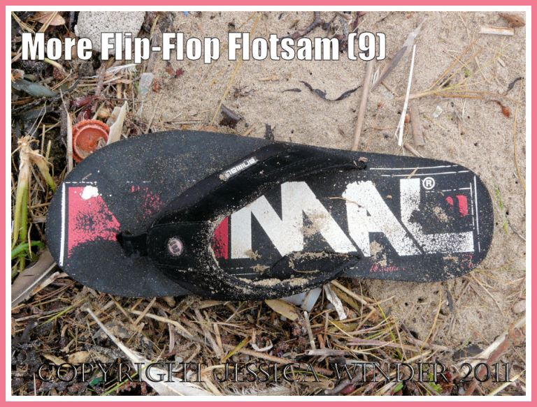 Black flip flop sandal with red and white markings amongst the strandline rubbish at Rhossili Bay, Gower, South Wales, U.K. (9)