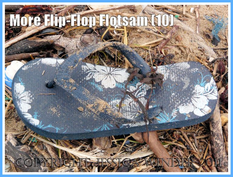 Flotsam flip flop sandal with blue and white markings amongst the strandline debris at Rhossili Bay, Gower, South Wales, U.K. (10)