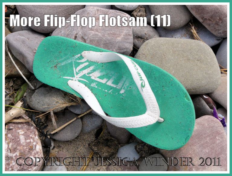 Green and white flip flop flotsam sandal on pebbles at the top of the beach at Rhossili Bay, Gower, South Wales, U.K. (11)