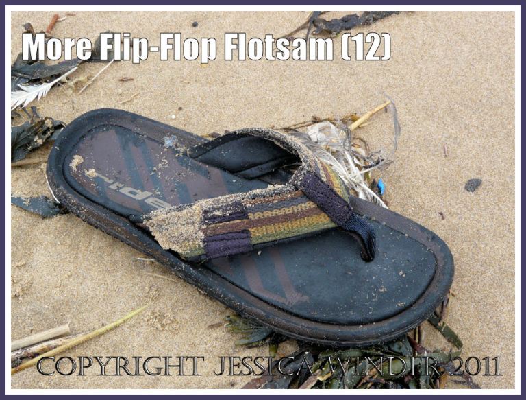Black flip flop flotsam sandal with woven thong washed ashore onto the sand at Rhossili Bay, Gower, South Wales, U.K. (12)