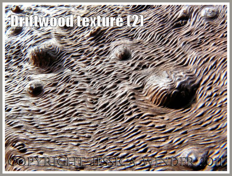 Driftwood macro-photograph showing weathered surface texture and woodgrain (2)