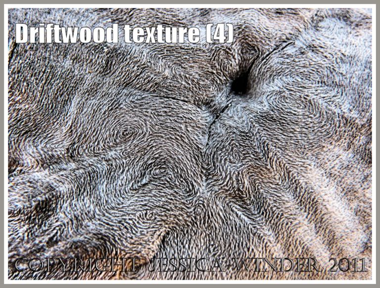 Driftwood macro-photograph showing weathered surface texture and woodgrain patterns (4)
