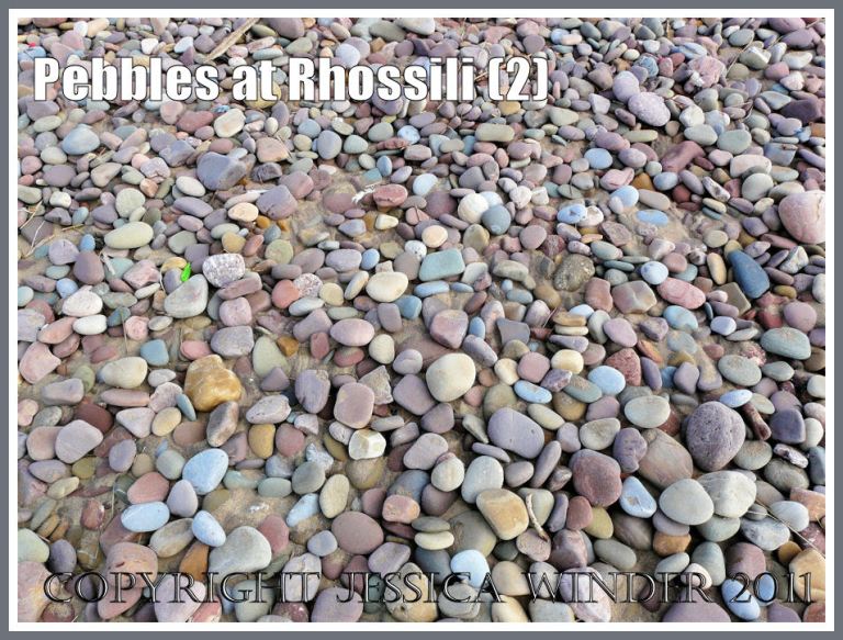Pebbles like candy on the beach: Pebbles with pastel colours like sugared almonds on the beach at Rhossili Bay, Gower, South Wales, UK (2)