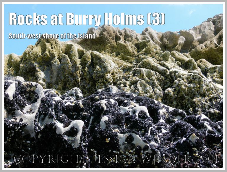 P1050339aBlog3 The rocky cliff face at Burry Holms, looking upwards, mussel zone below and barnacle zone above, Rhossili Bay, Gower, South wales, UK, (3) Rocky shore zonation at Burry Holms: The rocky cliff face at Burry Holms, looking upwards, mussel zone below and barnacle zone above, Rhossili Bay, Gower, South wales, UK, (3)
