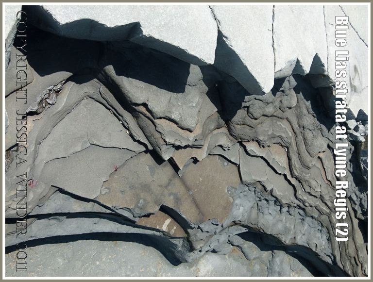 Natural rock patterns: Blue Lias rock strata on the seashore at Monmouth Beach, Lyme Regis, Dorset, UK, on the Jurassic Coast World Heritage Site (2)