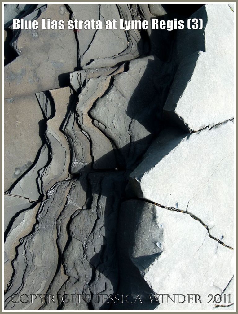 Jurassic rock pattern: Blue Lias rock strata on the seashore at Monmouth Beach, Lyme Regis, Dorset, UK, on the Jurassic Coast World Heritage Site (3)