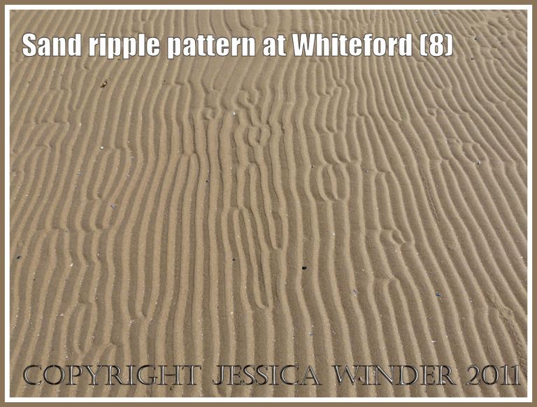 Sand ripple pattern at Whiteford Sands, Gower, South Wales, UK (8)