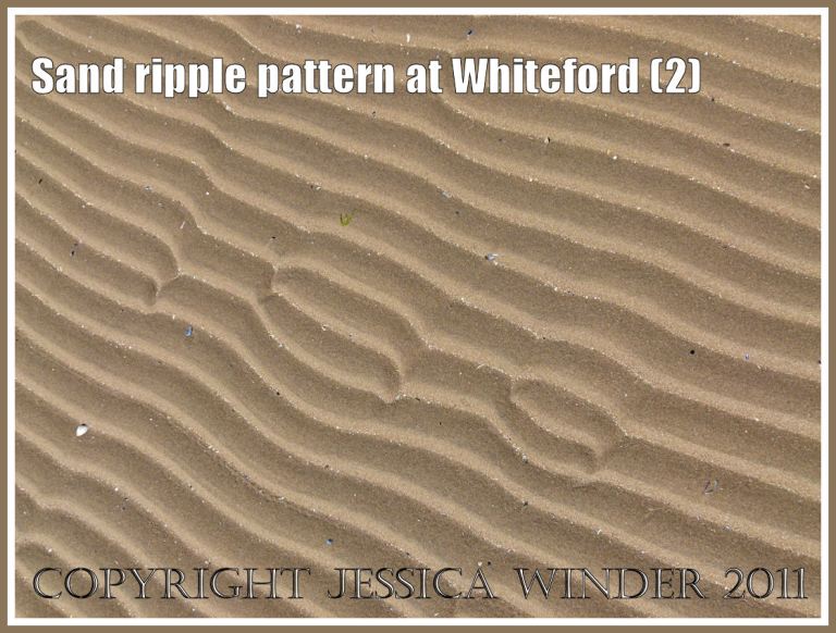 Patterns in nature: Sand ripple pattern at Whiteford Sands, Gower, South Wales, UK (2)