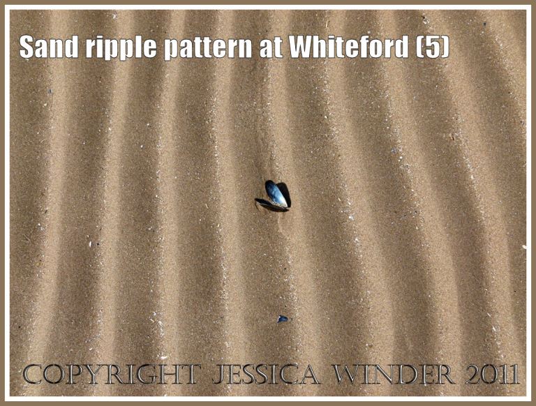 Patterns in nature: Sand ripple pattern at Whiteford Sands, Gower, South Wales, UK (5)