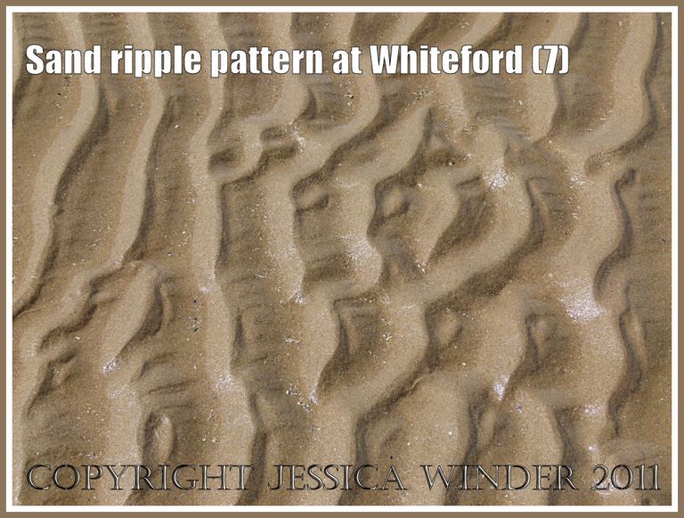 Sand ripple pattern at Whiteford Sands, Gower, South Wales, UK (7)