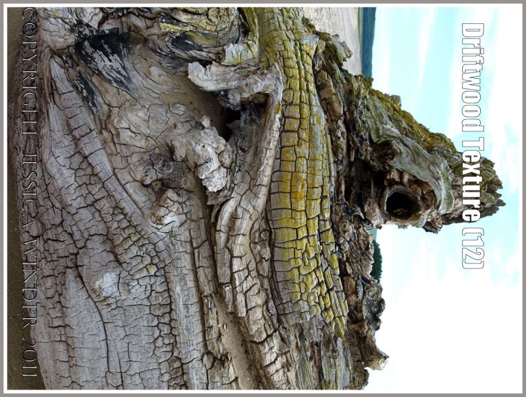 Wood texture and natural pattern in driftwood on the strandline at Whiteford Sands, Gower, South Wales, UK (12)