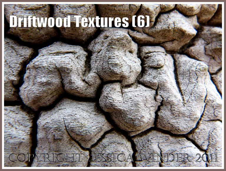Wood texture and natural abstract patterns in a piece of driftwood on the strandline at Whiteford Sands, Gower, South Wales, UK (6)