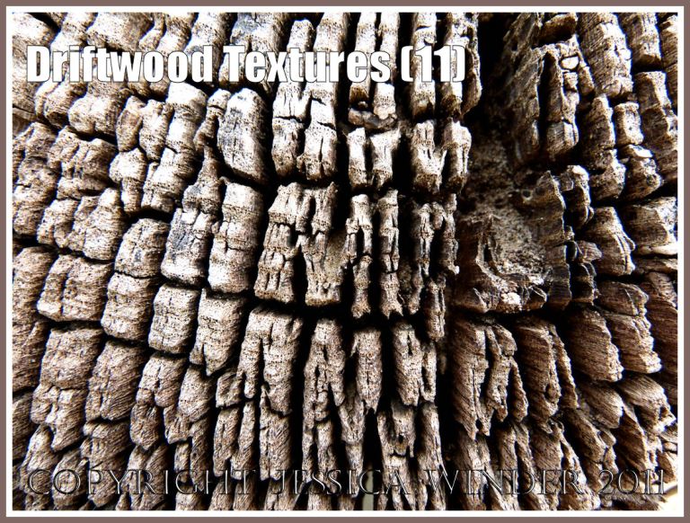 Natural patterns in wood: Wood texture and natural abstract patterns in a piece of driftwood on the strandline at Whiteford Sands, Gower, South Wales, UK (11)