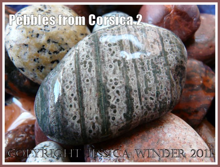 Pebbles from Corsica: A grey-green pebble with stripes and dots from Corsica (2)