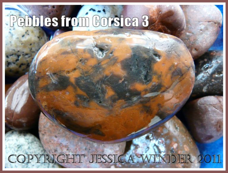 Pebbles from Corsica: An orange and black patterned pebble from Corsica (3)