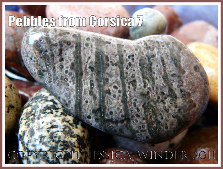 Pebbles from Corsica: Stripes and dots in a pebble from Corsica (7)
