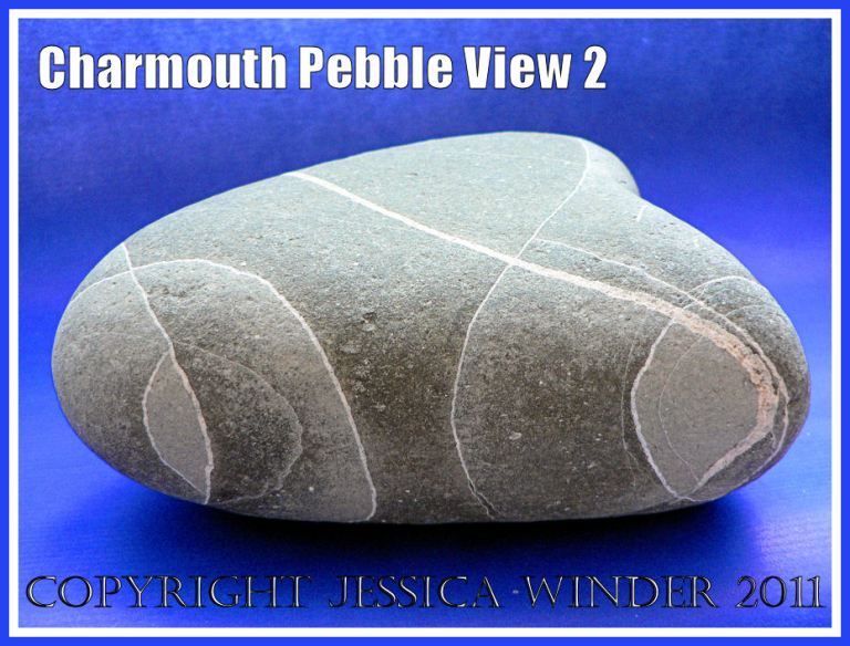 A pebble with remarkable natural markings from Charmouth, Dorset, UK - part of the Jurassic Coast (View 2)