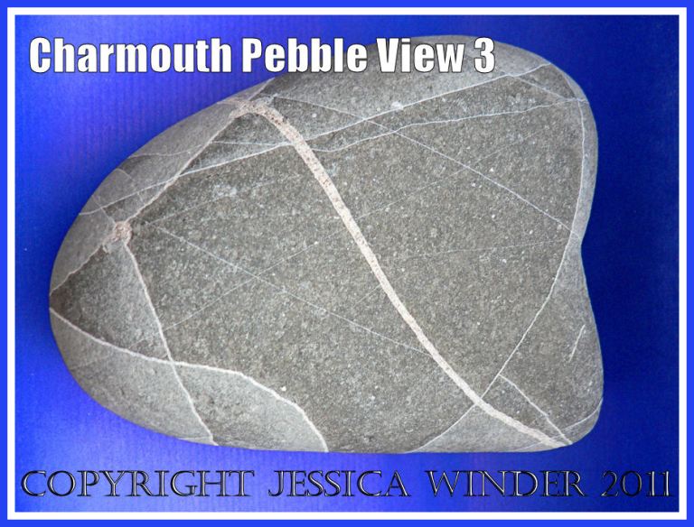 A pebble with remarkable natural markings from Charmouth, Dorset, UK - part of the Jurassic Coast (View 3)