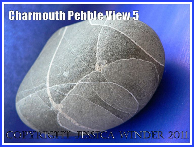 A pebble with remarkable natural markings from Charmouth, Dorset, UK - part of the Jurassic Coast (View 5)