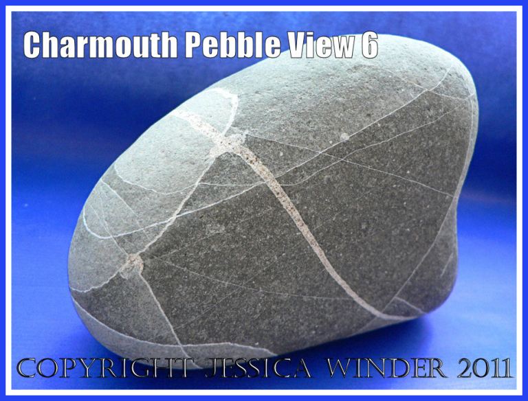 A pebble with remarkable natural markings from Charmouth, Dorset, UK - part of the Jurassic Coast (View 6)