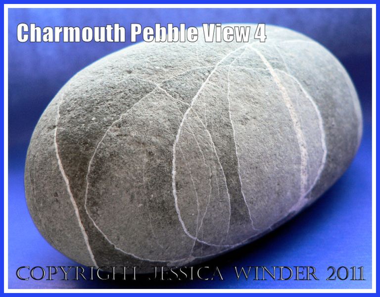 A pebble with remarkable natural markings from Charmouth, Dorset, UK - part of the Jurassic Coast (View 4)