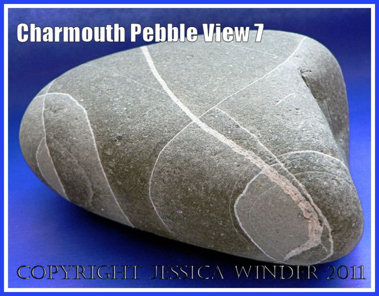A pebble with remarkable natural markings from Charmouth, Dorset, UK - part of the Jurassic Coast (View 7)