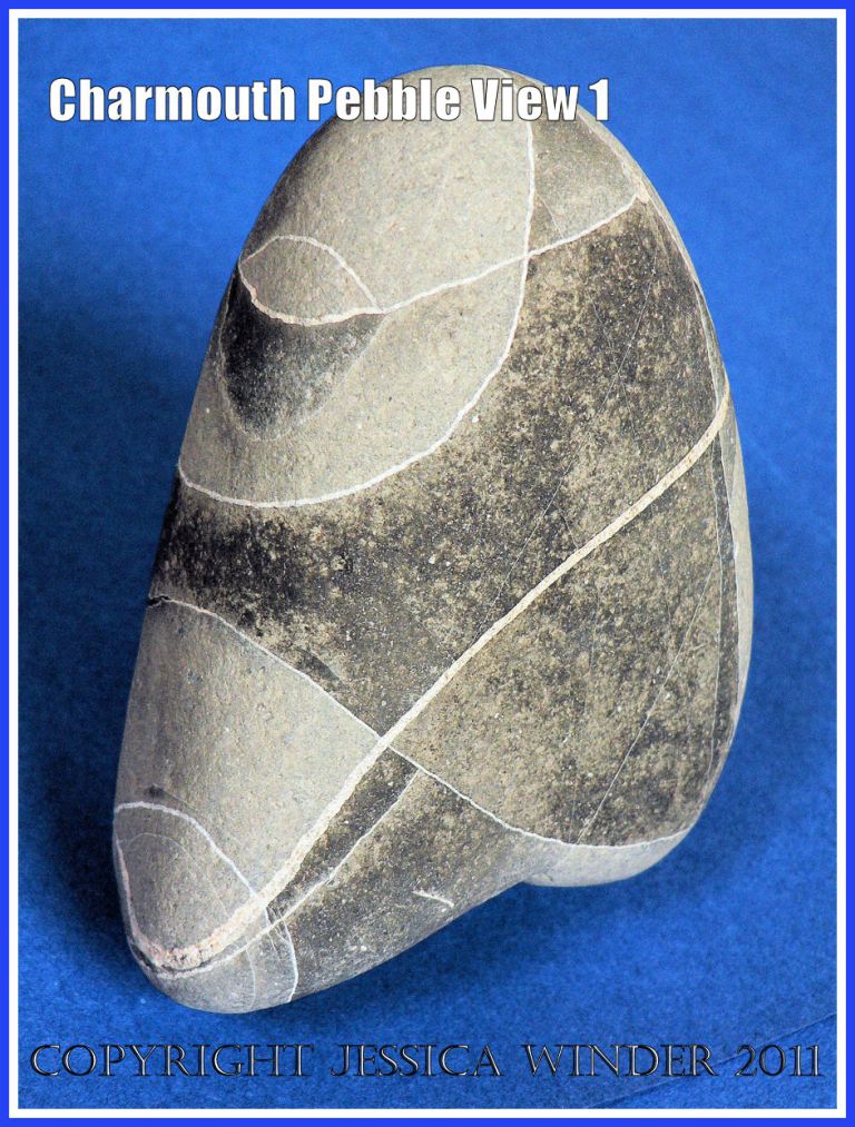 A pebble with remarkable natural markings from Charmouth, Dorset, UK - part of Jurassic Coast (View 1)