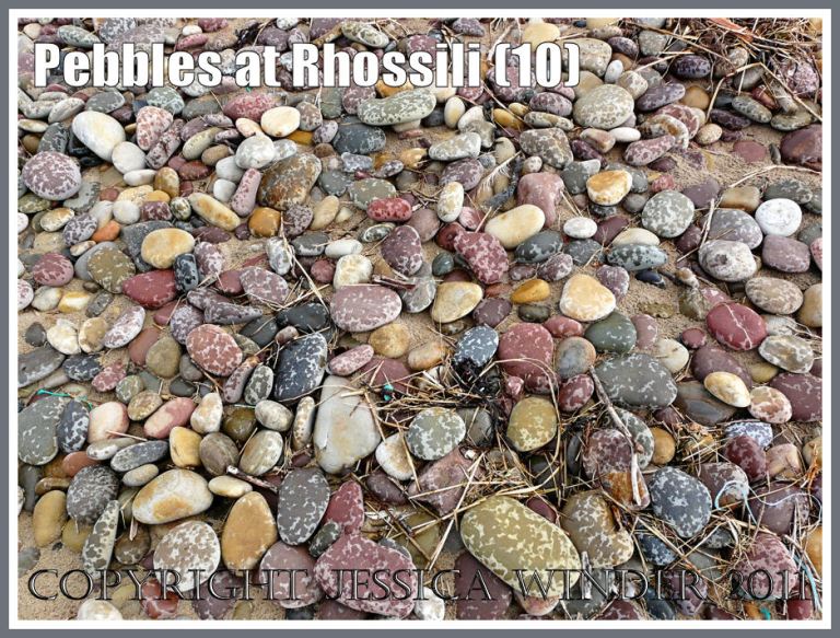 rain-speckled beach pebbles: A general view of the pebble bank at Rhossili, Gower, West Glamorgan, South Wales, UK showing the multi-coloured stones speckled by rain-drops. (8)