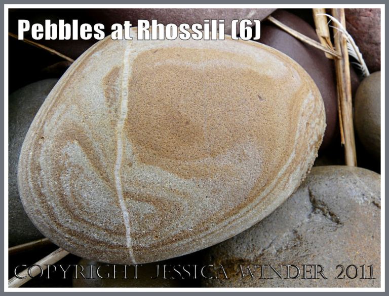Patterned pebble: A rounded buff-coloured sandstone pebble with an irregular pattern of rusty rings and patches from Rhossili, Gower, West Glamorgan, South Wales, UK (4)