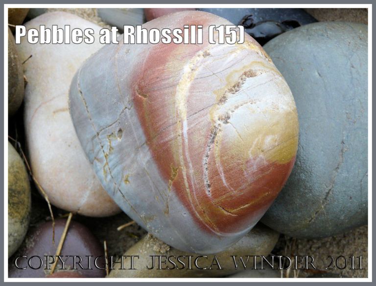 Patterned pebble: Grey limestone pebble with red and yellow markings on Rhossili Beach, Gower, West Glamorgan, South Wales, UK (15) 