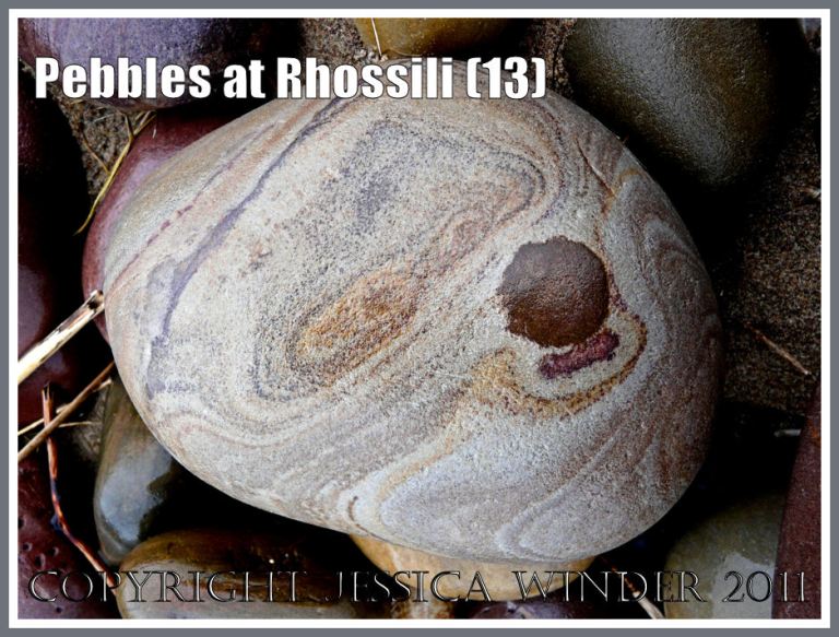 Patterned pebble with ironstone nodule on Rhossili Beach, Gower, West Glamorgan, South Wales, UK (13) 