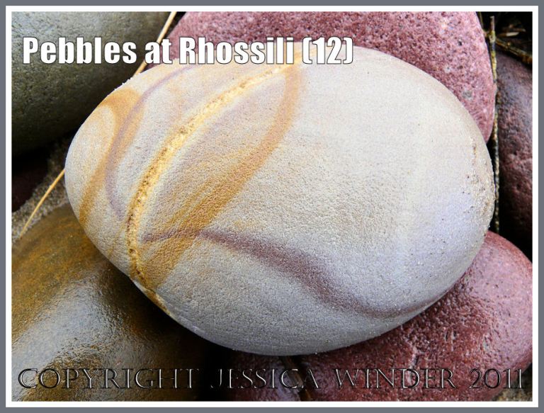 Rhossili pebble: Patterned pebble on Rhossili Beach, Gower, West Glamorgan, South wales, UK (12)