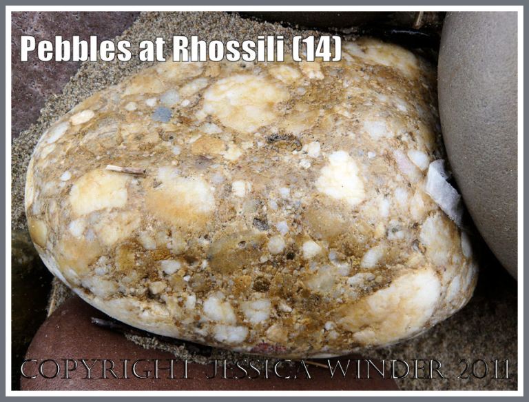 Gower pebble: Yellow and white conglomerate pebble on Rhossili Beach, Gower, West Glamorgan, South Wales, UK (14) 