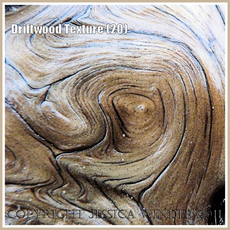 Driftwood patterns: Smooth, wet, satin texture and woodgrain pattern on a piece of driftwood found on the strandline at Rhossili Bay, Gower, South Wales, UK (20)