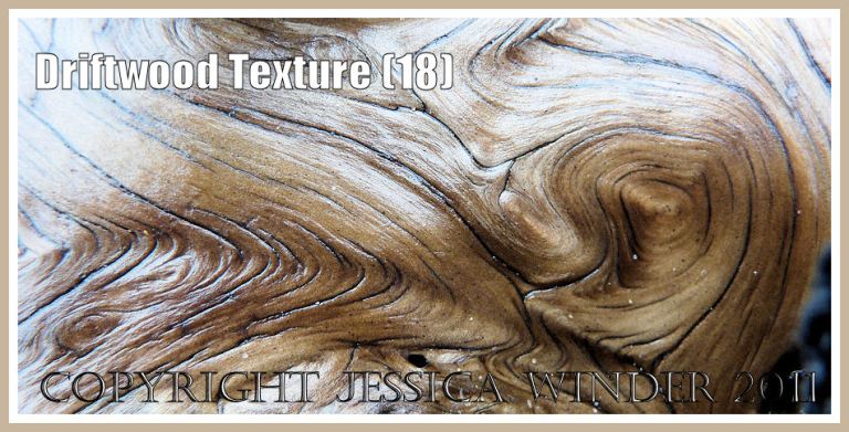 Natural pattern and texture in driftwood: Smooth, wet, satin texture and woodgrain pattern on a piece of driftwood found on the strandline at Rhossili Bay, Gower, South Wales, UK (18)