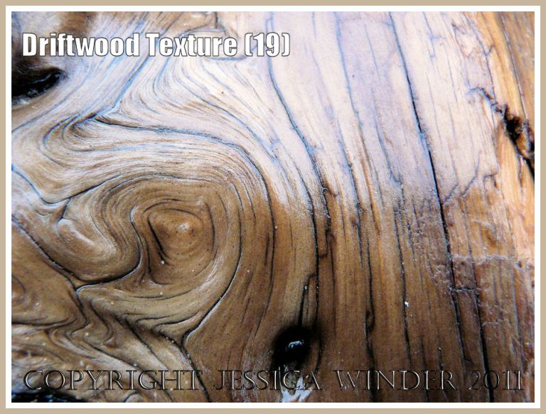 Patterns in nature: Smooth, wet, satin texture and woodgrain pattern on a piece of driftwood found on the strandline at Rhossili Bay, Gower, South Wales, UK (19)