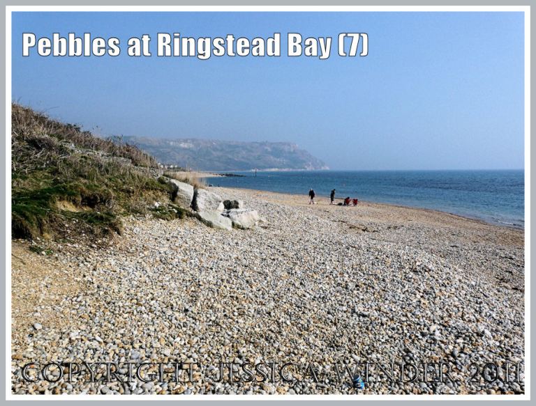 Shingle seashore at Ringstead: View looking east over the shingle beach at Ringstead Bay, Dorset, UK - part of the Jurassic Coast (7)