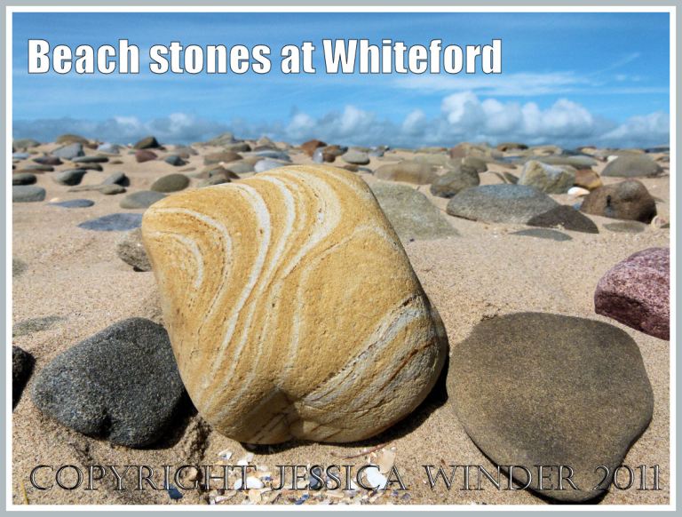 P1090880aBlog1 Beach stones at Whiteford Sands, Gower, South Wales, UK (1) Beach stones at Whiteford Sands, Gower, South Wales, UK (1)
