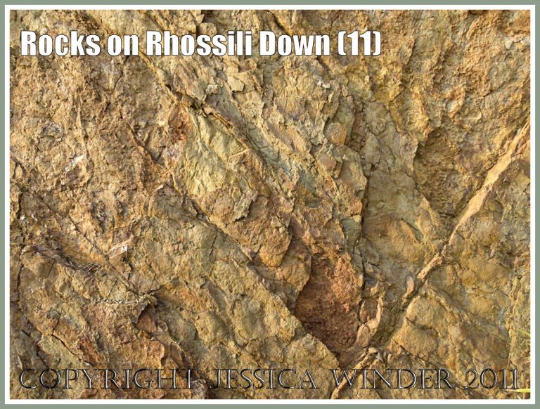 Gower geology: Rock texture, colour and pattern in Carboniferous Lower Limestone Shales in an exposure at Rhossili, Gower, South Wales, UK (11)