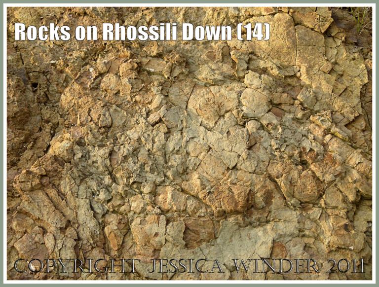 Gower geology: Rock texture, colour and pattern in Carboniferous Lower Limestone Shales in an exposure at Rhossili, Gower, South Wales, UK (14)